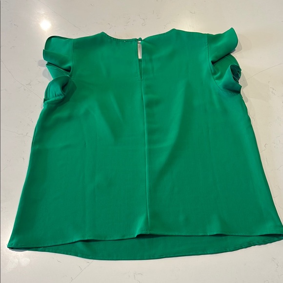 TCEC Green Ruffle Sleeve Top - Picture 14 of 15